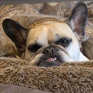 Meet your Posher, Elena